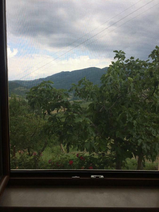 La Casa Nel Verde Castelmezzano Extérieur photo